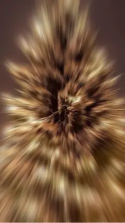 Last Christmas Remix