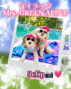 ライラック/5clip