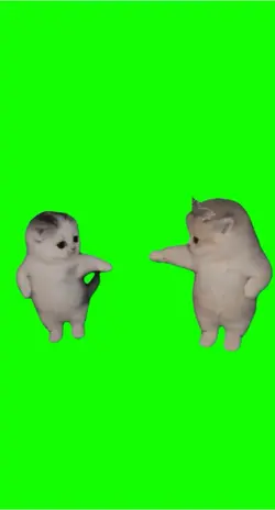 Gatinhos virais
