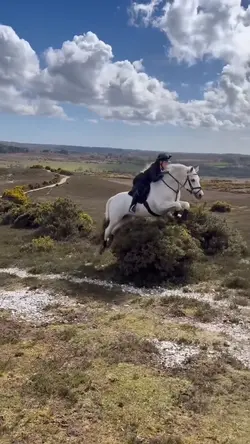 hedge hopping!