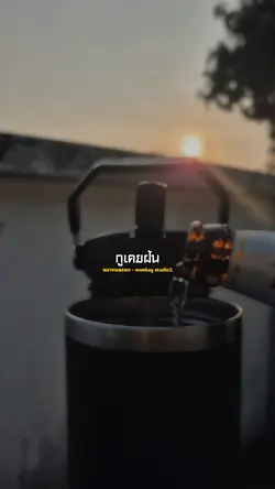 หมาจนตรอก