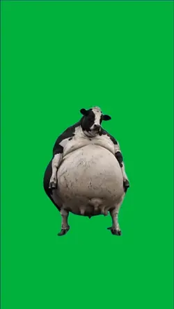Dancing cow