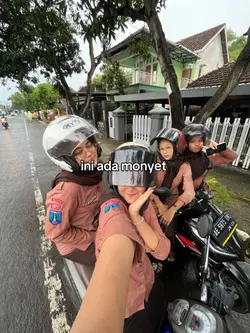 ini ada monyet di 