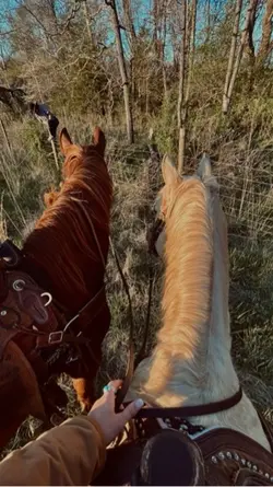 Um amor além de voz 