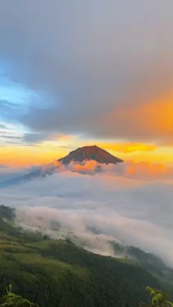 Aesthetic 14 detik