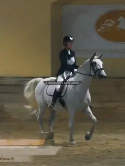Lipizzaners cant jum