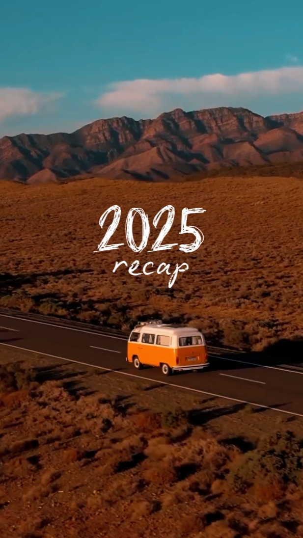 2025 요약