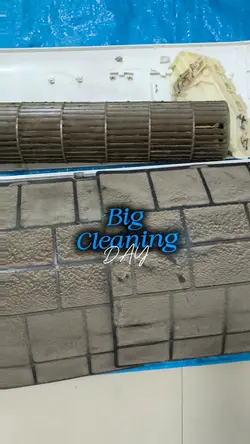 big cleaning day