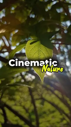cinematic nature