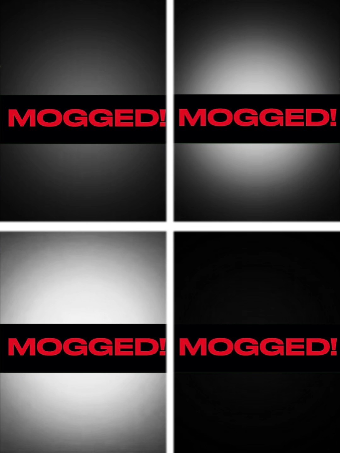 mogged trend 24.0