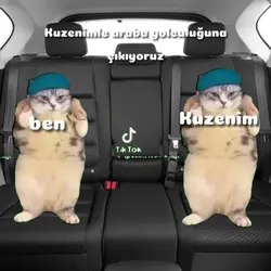 Yolculukta Kuzenimle