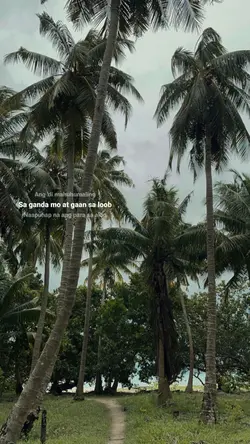 lyrics 