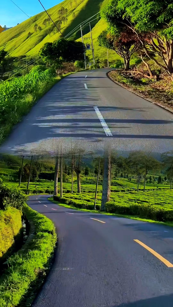 2 videos 1 collage HD