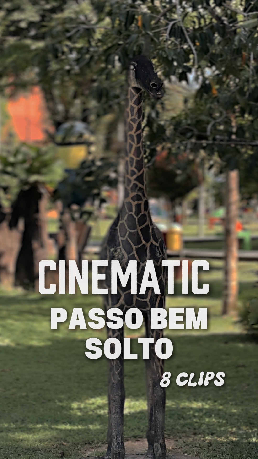 SOLTO PASSO BEM