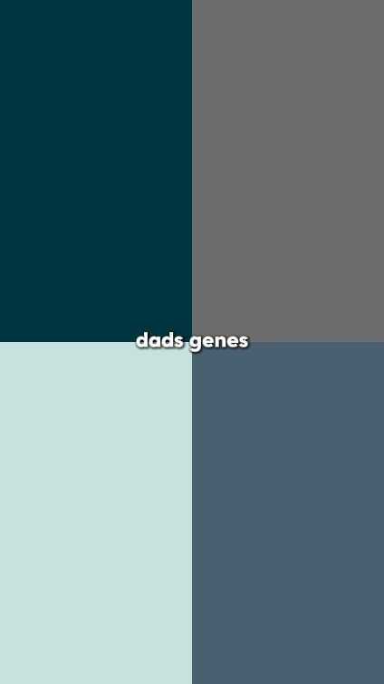 GÈNES