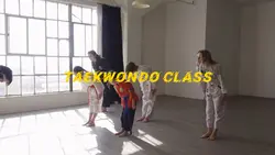 Taekwondo Class