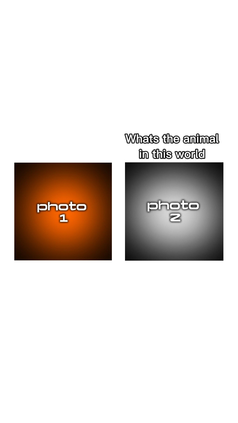 try this template 