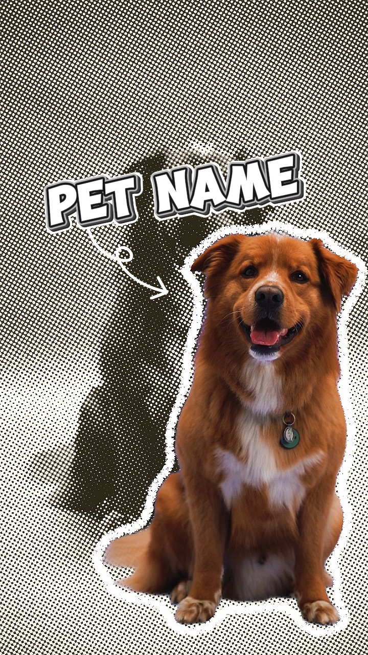 INTRO PET
