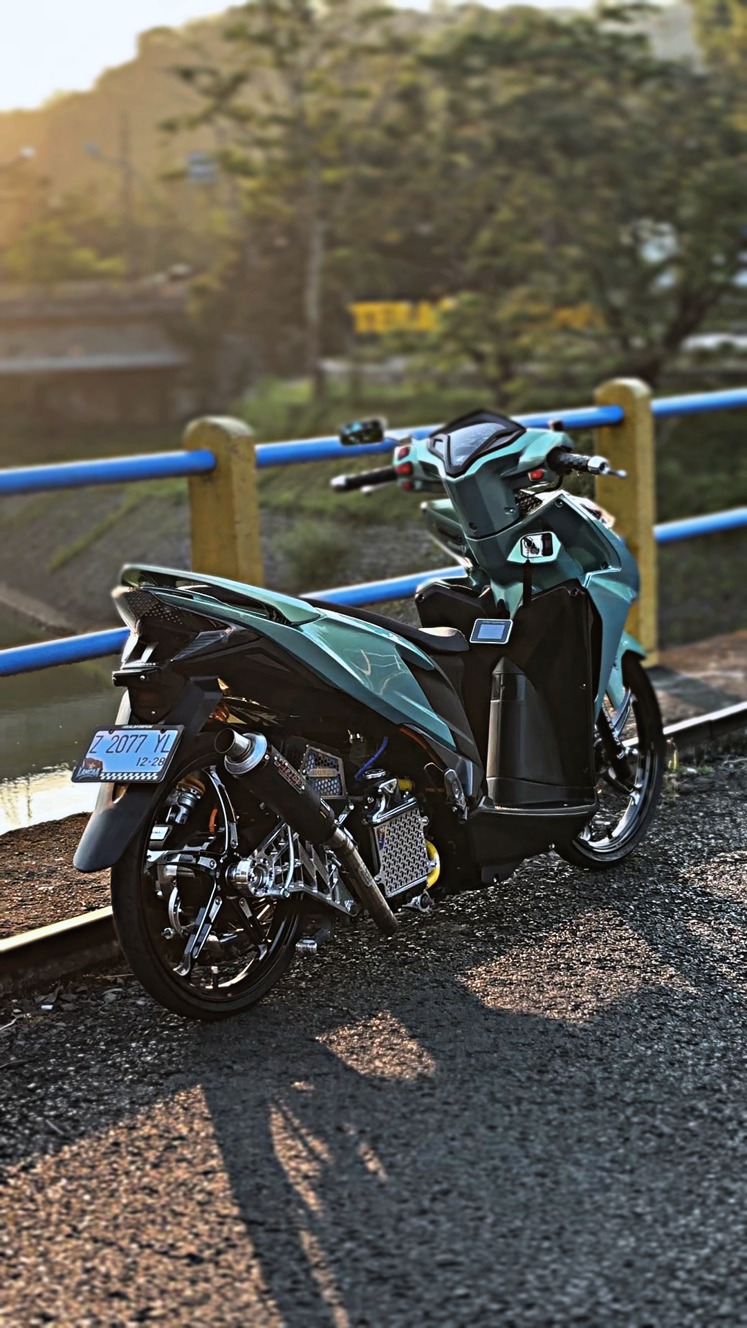 Cover Picture