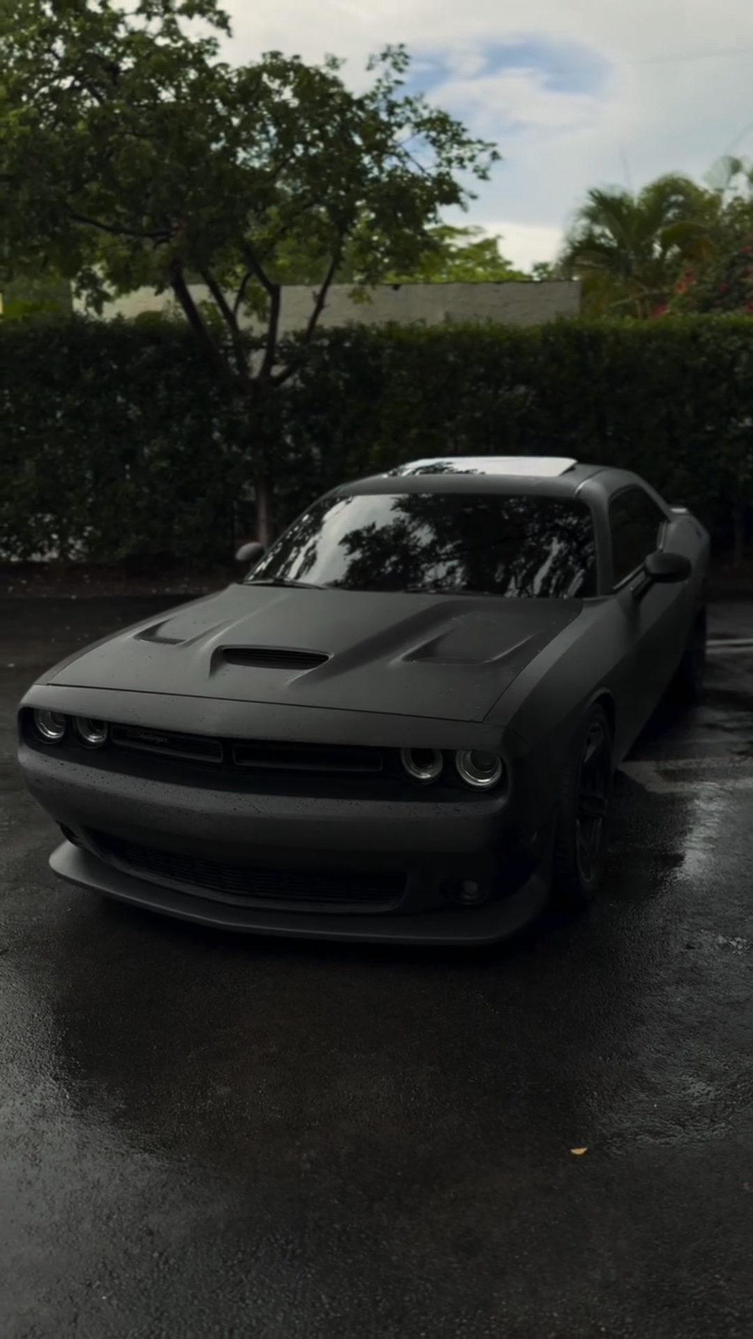 DODGE🐺