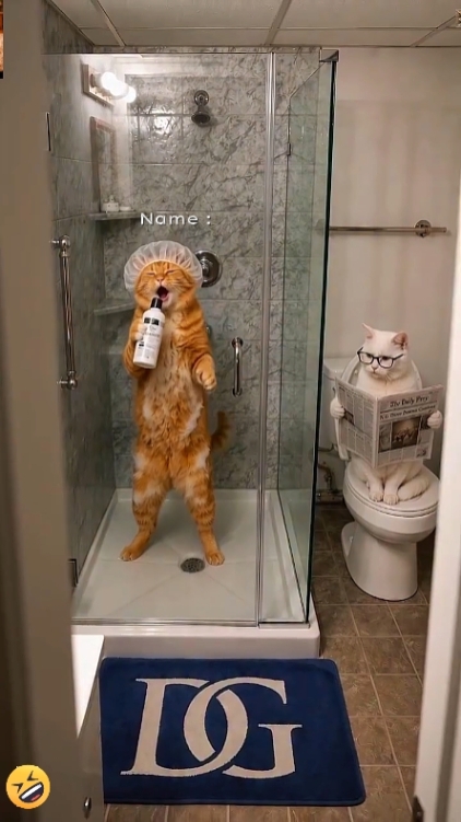 Kucing Bernyanyi 