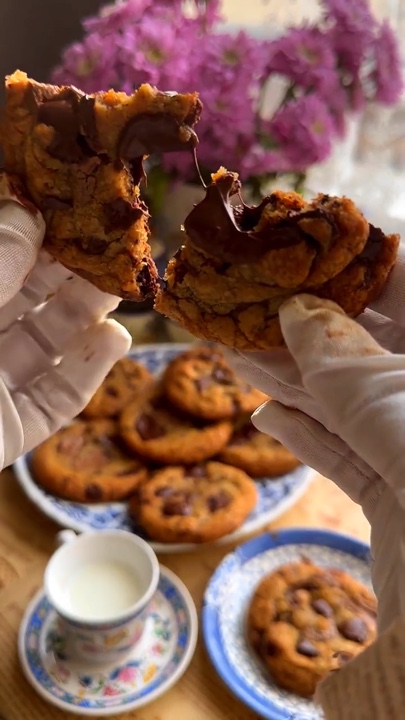 snack video template