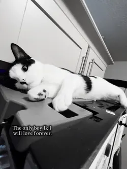 Only boy❤️‍🩹