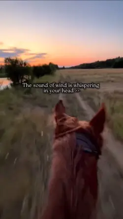 Coming Home 🫶🏼 