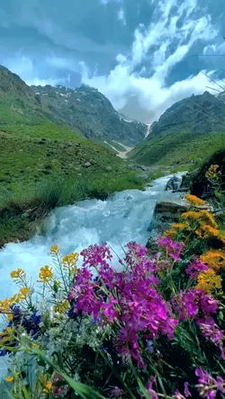 mountain springs 