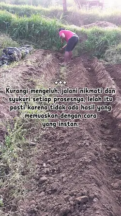 tak sawang sawanh