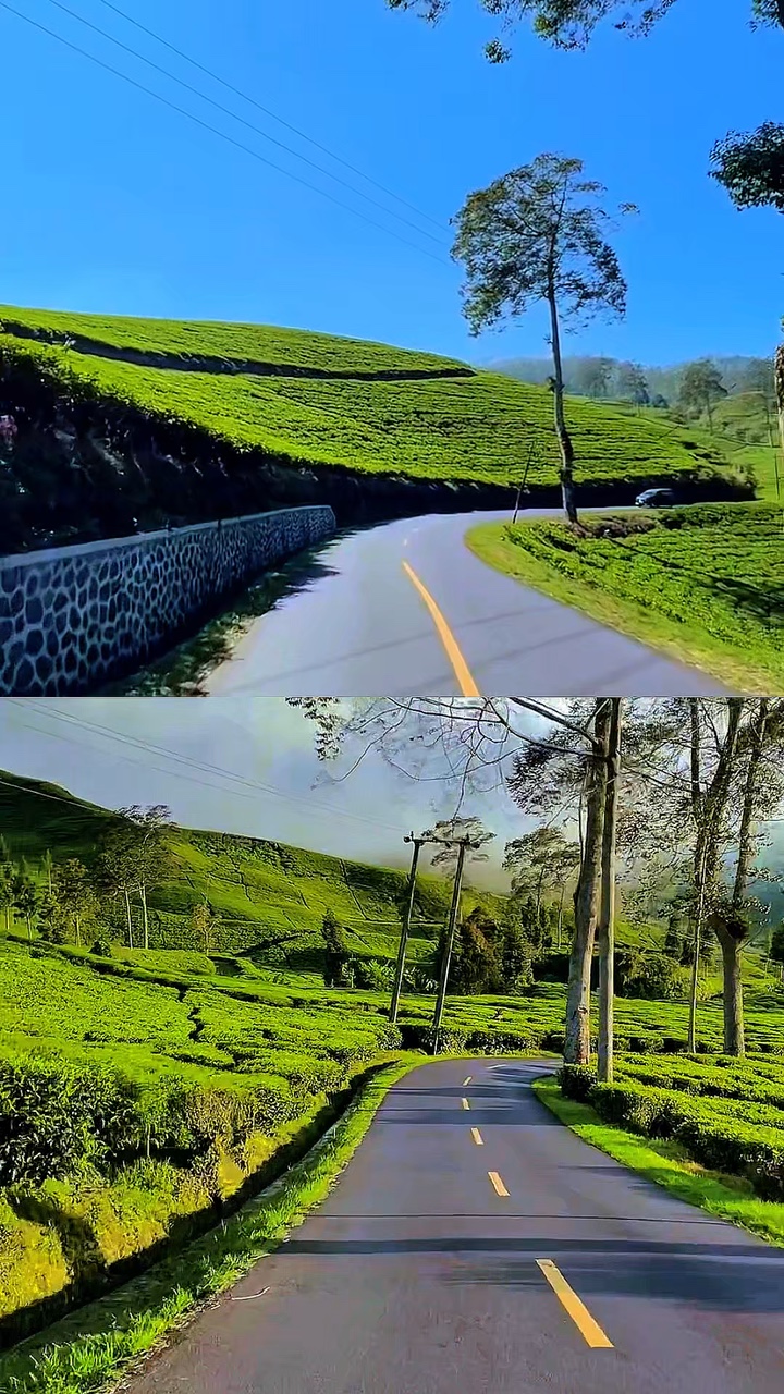 2 vídeos 1 layout 