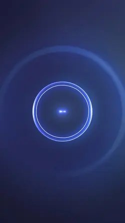 signal portrait ¹³