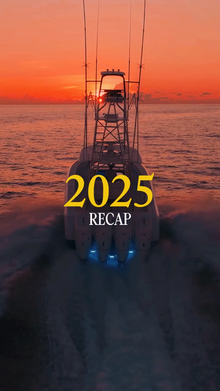 Recapitulação de 2025