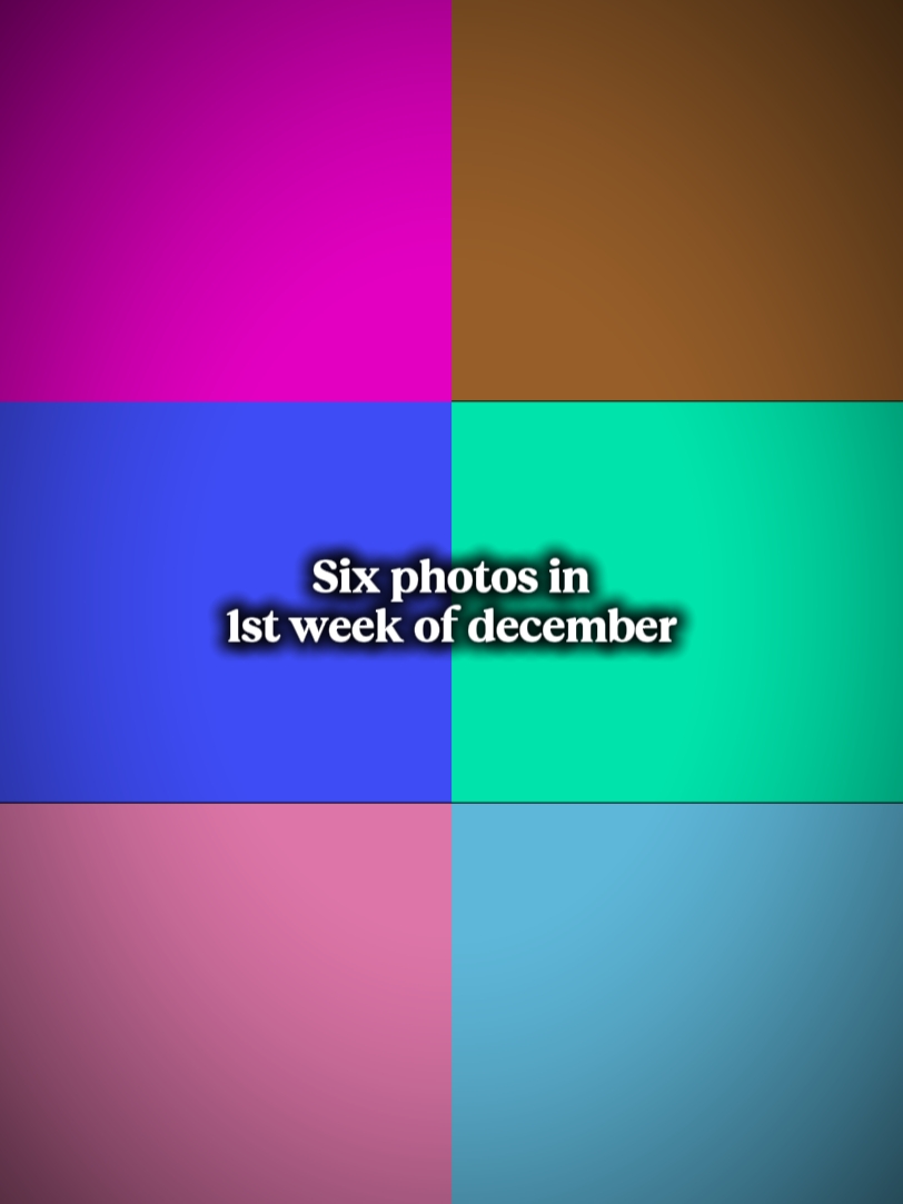 Seis fotos 