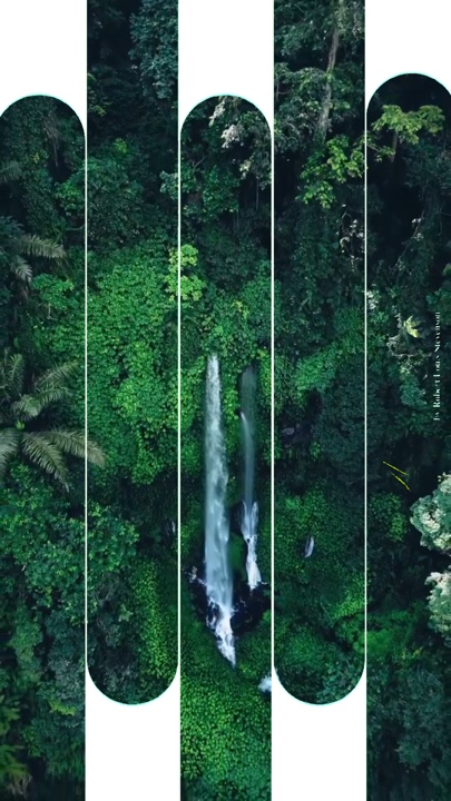 Video Template 