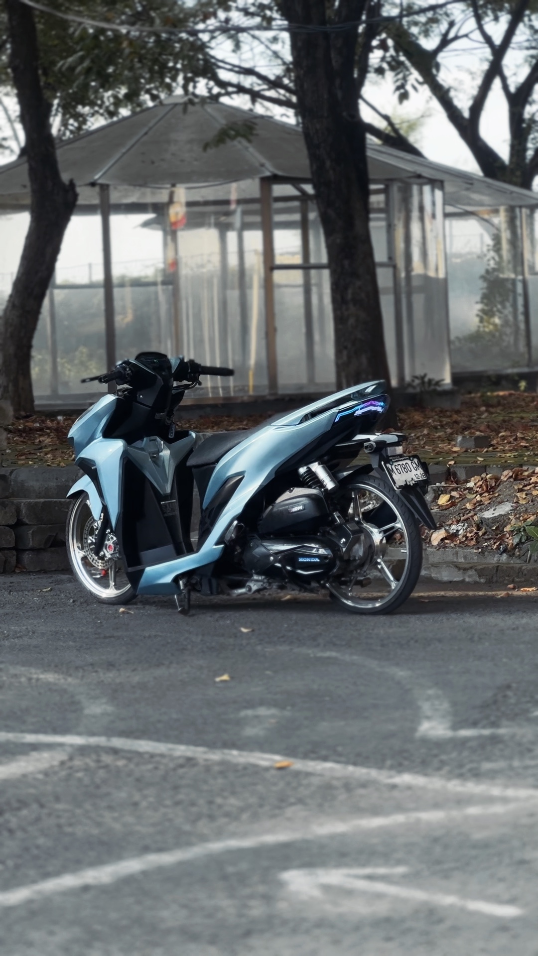 Cover Picture