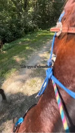 Gallop