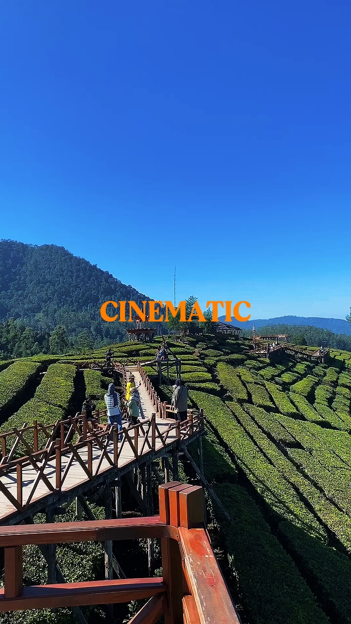 CINEMATIC