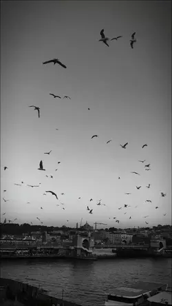 dermanımın sahibi