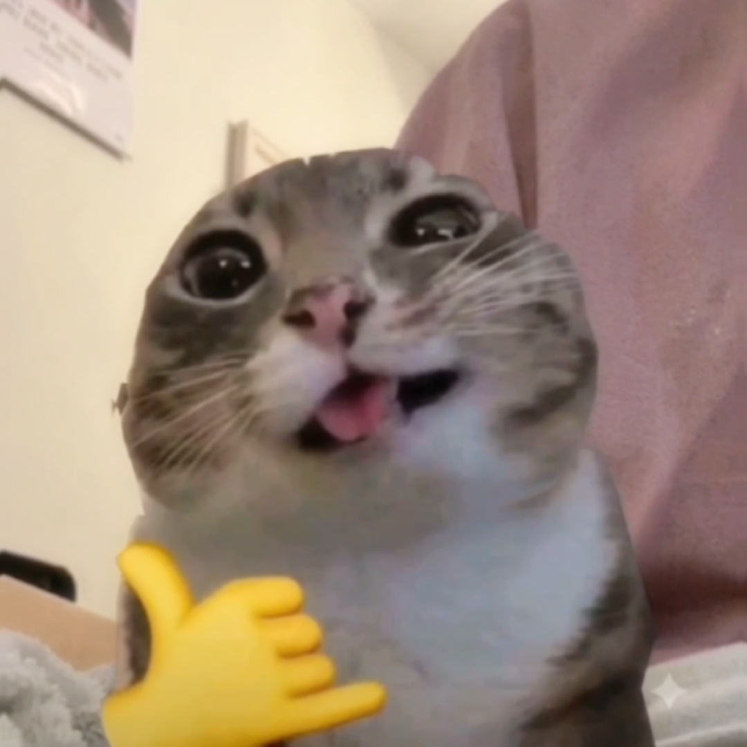 Edición de gato