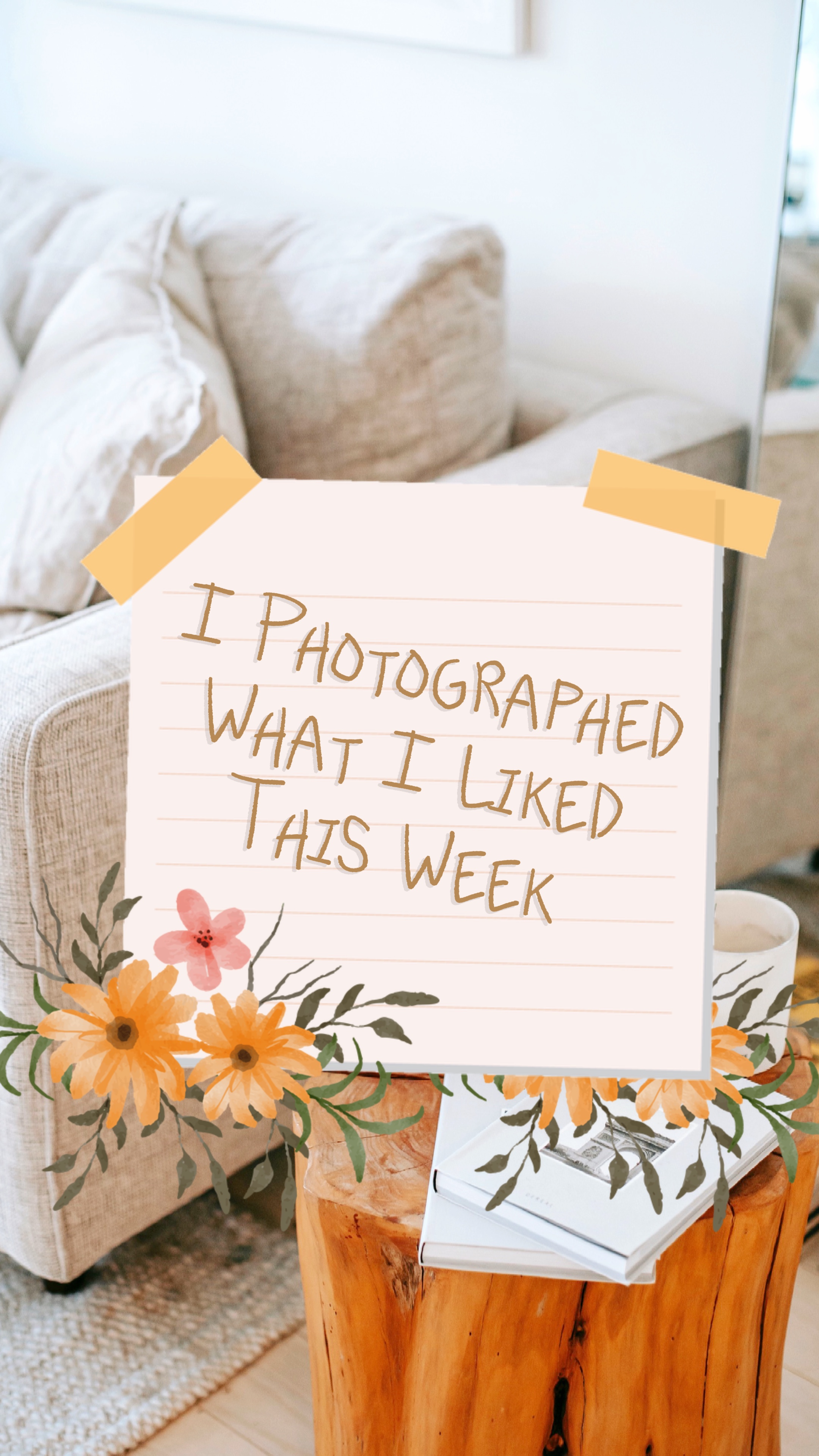 Mi Galería