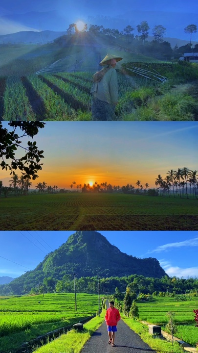 3 Videos in 1 Frame