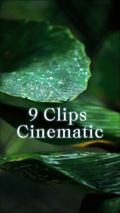 Cinematic Video