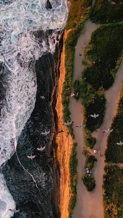 2 video cinematic
