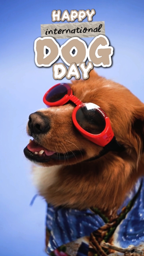 FELIZ DÍA DEL PERRO