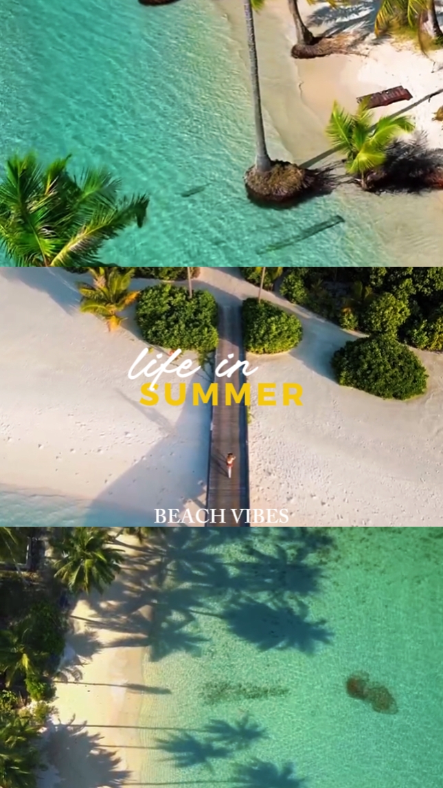 Vida No Verão