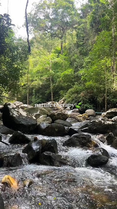 Natureza