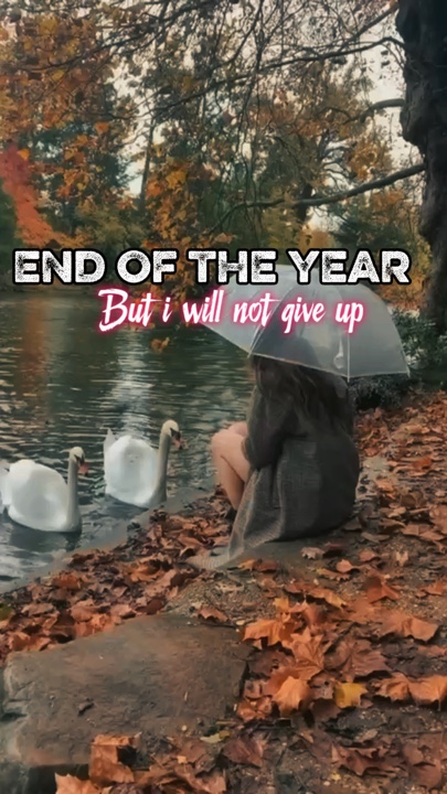 Fin de l'année 2025........