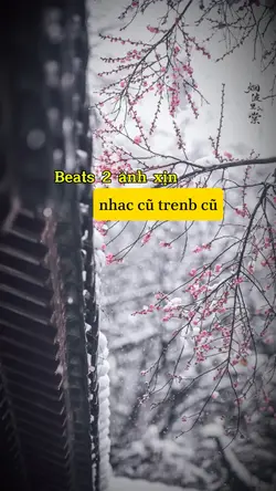 BEATS HAI ẢNH
