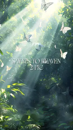 SAY YES TO HEAVEN